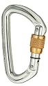 Black Diamond Quicksilver Screwgate Carabiner