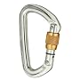 Black Diamond Quicksilver Screwgate Carabiner
