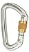 Sporting Goods : Black Diamond Quicksilver Screwgate Carabiner
