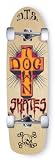 Dogtown DT Sunburst Complete Skateboard