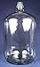 6.5 Gallon Italian Glass Carboy