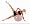 Everlast Pilates Ball with Massage Action
