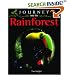 Journey into the Rainforest