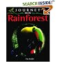Journey into the Rainforest