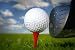 Wallmonkeys Peel and Stick Wall Decals - Golf Club and Ball in Grass - Removable Graphic