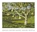 The Gourd Tree (serigraph) by James Wyeth. Size 28.85 inches width by 22.61 inches height. High Quality Art Poster Print
