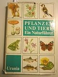 Produkt-Bild: Pflanzen und Tiere. Ein Naturf&uuml;hrer.