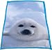 Animal Planet Polar-Fleecedecke Sea Lion, 130x160 cm
