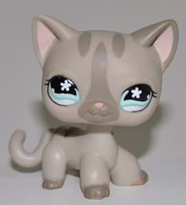 Amazon.com: Shorthair #468 (Tan, Green Eyes, Brown Paws, Flower On Head