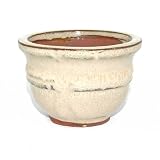 from Got-Bonsai? - Pots 7cm Round Accent Plant or Succulent Pot