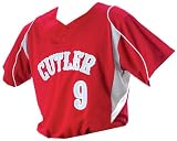 Don Alleson 529 EXtreme Mock Mesh Polyester Adult Baseball Jersey (Call 1-800-327-0074 to order)