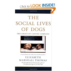 Social Lives of Dogs