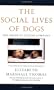 The Social Lives of Dogs