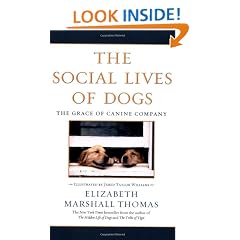 The Social Lives of Dogs
