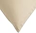 Calvin Klein Marin Starburst Pillow, Taupe
