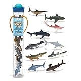 41ccFo8WTwL. SL160  Prehistoric SharksToob