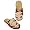 Florida State Seminoles