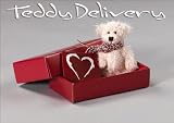 Image of Polar Teddy Bear Gift Package With Free Red Gift Card (Heart) - Teddy Delivery