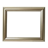 Digital Foci Image Moments A06-014 User Changeable Frame