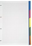 Produkt-Bild: Kollegblock, Register, A 4, kariert