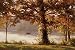 Autumn Comes to Cove Lake by John Potoschnik 36