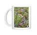 Photo Mugs of Mixed flowers in meadow from Ardea Wildlife Pets