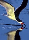 Rhapsody in Blue (A Celebration of North American Waterbirds)