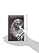 Confessions of a Young Novelist (The Richard Ellmann Lectures in Modern Literature)