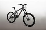 2008 Iron Horse 7 Point Mountain Bike (Freeride)