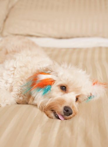 Puppylocks Kermit's First Kiss Fuzzy Feather Fur Extension, Short, Electric Green/Teal/Hot Pink