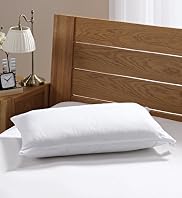 Hollowfibre with Foam Core Pillow