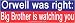 Orwell was Right Big Brother is Watching You. -Magnetic Bumper Sticker.