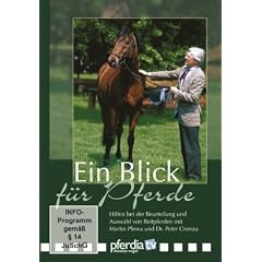 Ein Blick f�r Pferde