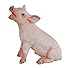 Safari Ltd Safari Farm â€“ Sitting Piglet â€“ Educational Hand Painted Figurine â€“ Quality Construction from Safe and BPA Free Materials â€“ For Ages 3 and Up