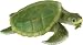 Safari LTD Incredible Creatures Kemp's Ridley Sea Turtle