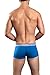 Obviously Core - Naked Trunk (Large, Blue)