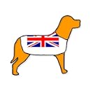 Union Jack Personalised Waterproof Dog Coat Size