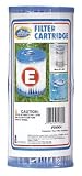 INTEX RECREATION CORP 59904E REPLACEMENT POOL FILTER PK/2