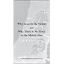 Why Israel is the Victim AND Why There is No Peace&hellip by David Horowitz