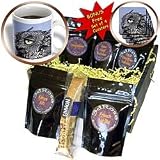 Kike Calvo Animals - Western Screech Owl, Otus kennicottti - Coffee Gift Baskets - Coffee Gift Basket