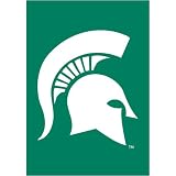 Michigan State Spartans NCAA Mini Garden or Window Flag (15x10.5)