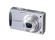 Panasonic Lumix DMC-FX500S 10.1MP Digital Camera with 5x Wide Angle MEGA Optical Image Stabilized Zoom (Silver)