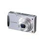 Panasonic Lumix DMC-FX500S 10.1MP Digital Camera with 5x Wide Angle MEGA Optical Image Stabilized Zoom (Silver)