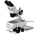 AmScope 10x-20x-30x-60x Advanced All Metal Full Glass Optics Student Binocular Stereo Microscope with Incident (Top) and Transmitted (Bottom) Lights