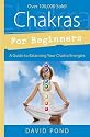 Chakras for Beginners: A Guide to Balancing Your Chakra Energies