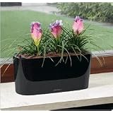 LechuzaWindowsillPlanter-Black