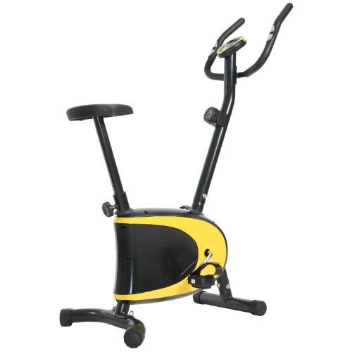 body champ exercise bike