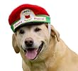 Kyjen Holiday Santa Patrol "Chimney Watch" Hat - One Size Fits All