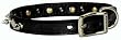 Hamilton 1/2" x 12" Black Leather with Spikes and Diamond Pattern Dog Collar