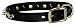 Hamilton 1/2" x 12" Black Leather with Spikes and Diamond Pattern Dog Collar